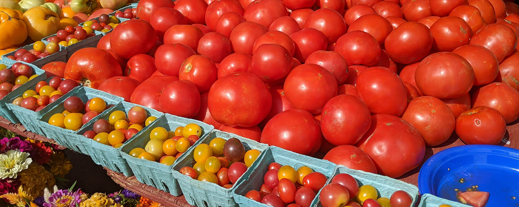 Dupont Circle's farmers market fruit and vegetable display 